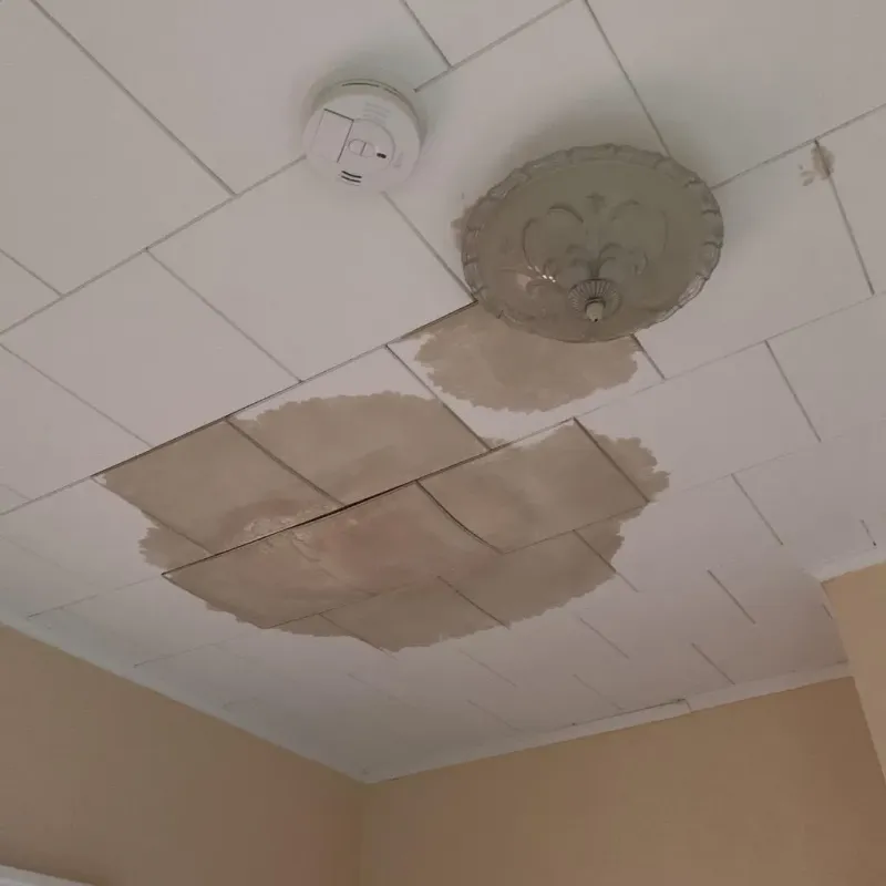 Ceiling Water Damage Repair in Grant, MN