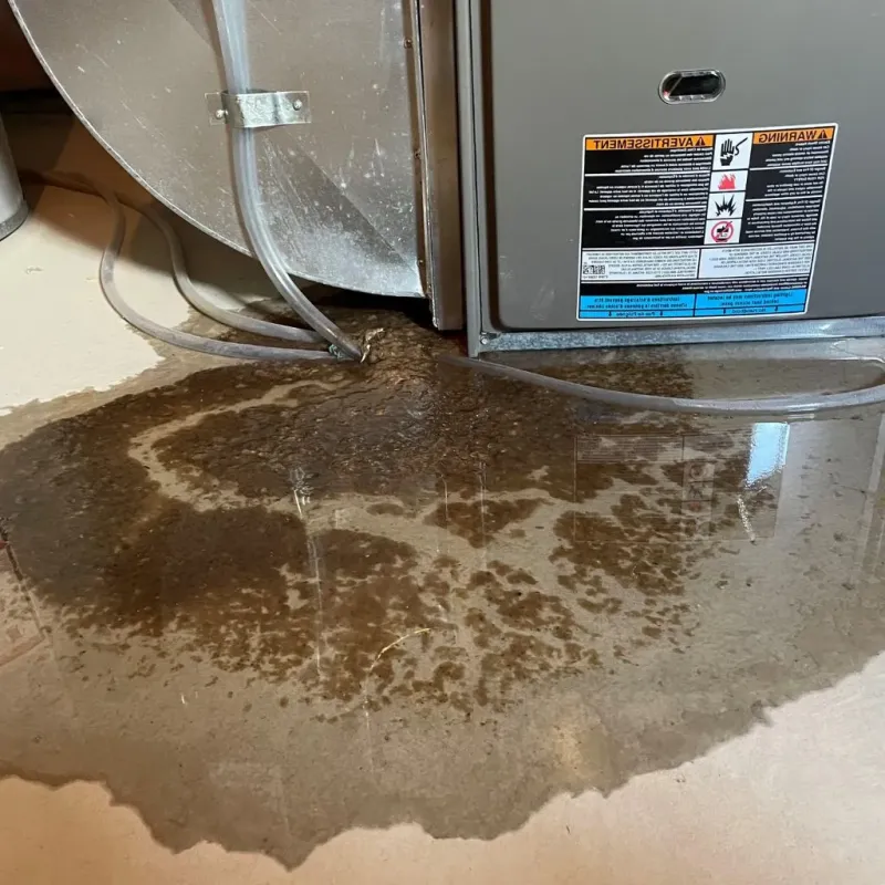 Pipe Burst and Leak Restoration in Grant, MN