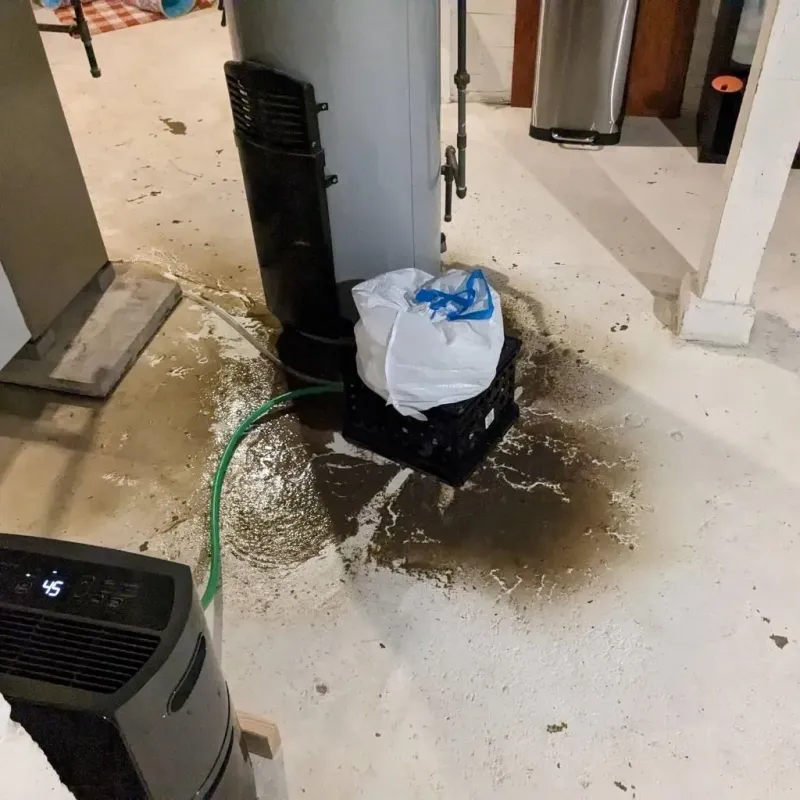 Sewage Backup Cleanup Service in Grant, MN